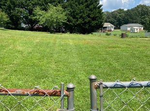 Gina G.'s Lawn Care service result