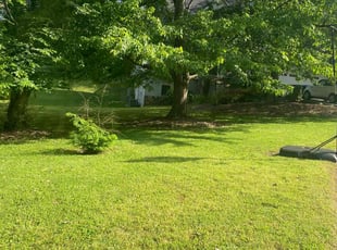 Marci B.'s Lawn Maintenance service result