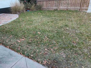 Weeding by Shawn SHAYS for Morgan . in Charleston, SC