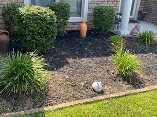 Weeding by William Spear for Victor R. in Milton, FL