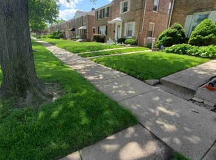 Ashley E.'s Yard Cutting service result
