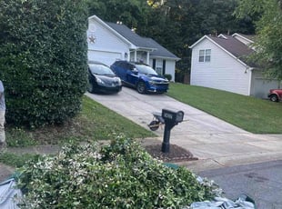 Bush Trimming by Ronald Martin for Richard S. in Charlotte, NC