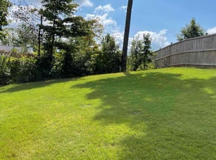 John S.'s Lawn Mowing service result