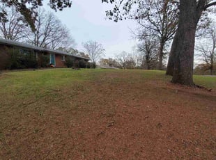 Leaf Removal by Andrew "Jordan" Shelton for Amy C. in Charlotte, NC