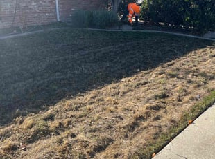 Bush Trimming by Juan Martinez for Sara L. in Stockton, CA