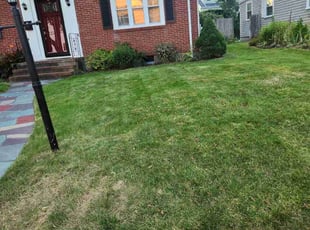 Randall K.'s Lawn Maintenance service result