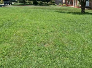 Mark M.'s Lawn Care service result