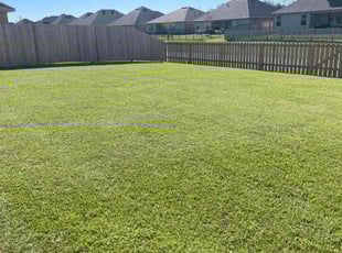 Brittany M.'s Lawn Care service result