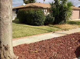Donald B.'s Lawn Service service result