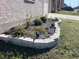 Weeding by JosΓ© Peraza for Jamaica G. in Princeton, TX