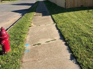 Heidi E.'s Lawn Care service result