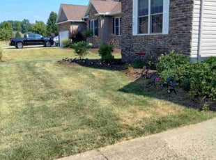 prashant w.'s Grass Cutting service result