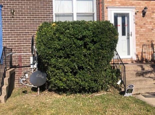 Bush Trimming by Andre Anderson for Gwendolyn F. in Essex, MD