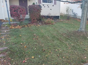 Bush Trimming by Christensen Ransom for Dionne W. in Grove City, OH