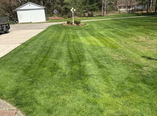 Pat A.'s Grass Cutting service result