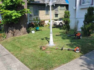 Shimika N.'s Lawn Service service result