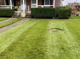 Heather D.'s Lawn Mowing Service service result