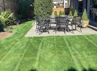 Amy M.'s Lawn Maintenance service result