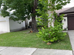 Amy D.'s Lawn Mowing Service service result