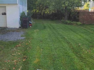 David H.'s Yard Cutting service result