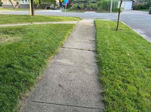 Marcus R.'s Lawn Mowing service result