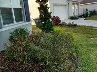 Bush Trimming by Kenneth Mitchell for Gregory E. in Bradenton, FL