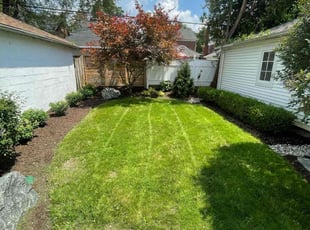 Randall A.'s Lawn Mowing Service service result