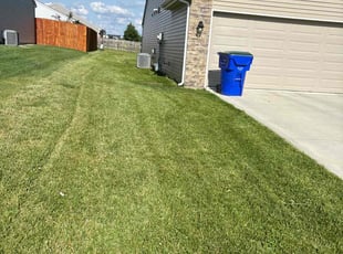 Marissa K.'s Lawn Mowing service result