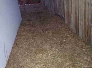 Cleanups by Anthony Garcia for Margaret L. in Sacramento, CA