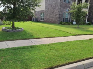 Ebony C.'s Grass Cutting service result