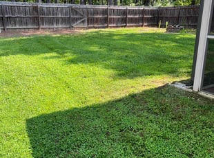 Janet G.'s Lawn Care service result