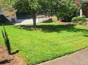 Magarette N.'s Lawn Mowing service result
