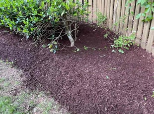 Mulching by Reginald Lindsay for Jeff B. in Raleigh, NC