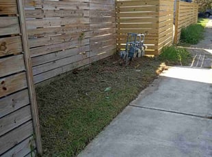 Bush Trimming by Benjamin Thompson for Winnie C. in Houston, TX