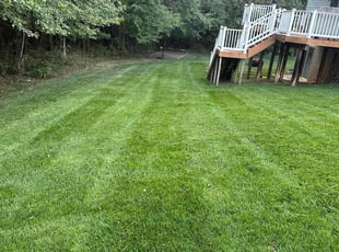 Jason H.'s Lawn Service service result