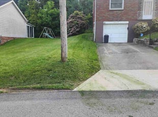 Darrell W.'s Grass Cutting service result