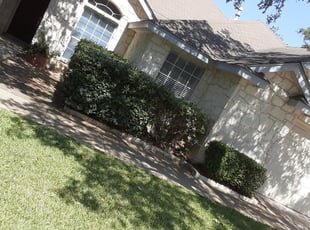 Bush Trimming by Danny Shipman for Bryan C. in San Antonio, TX