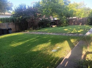 Donna R.'s Lawn Mowing service result