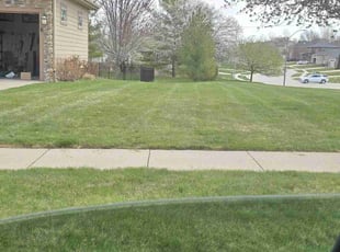 Denise K.'s Lawn Service service result