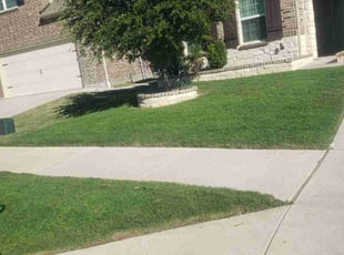 Steve V.'s Lawn Care service result