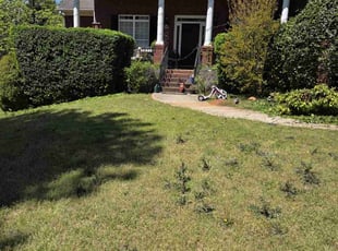 Bush Trimming by Samarrio Conney for Sophila J. in McDonough, GA