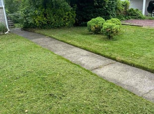 Tawana K.'s Lawn Care service result