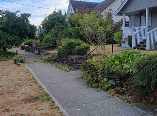 Bush Trimming by Krista Ainsworth for Gaby P. in Seattle, WA