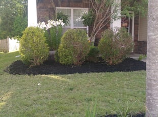 Bush Trimming by Greg-Davis Star-Lanter for Andrea A. in Indian Land, SC