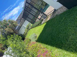 Sarah H.'s Lawn Care service result