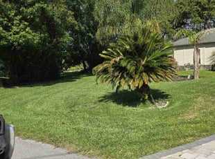 Manith A.'s Grass Cutting service result