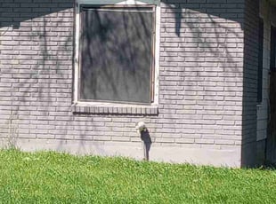 Josh S.'s Lawn Mowing Service service result