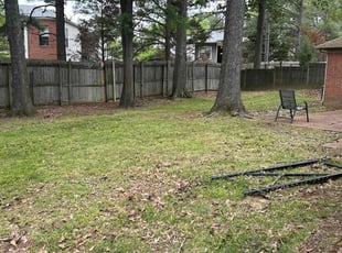 Bush Trimming by Terrance Sharp for Sharrisse B. in Memphis, TN