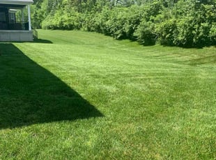 Todd b.'s Lawn Mowing Service service result