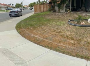 Brandon C.'s Lawn Service service result